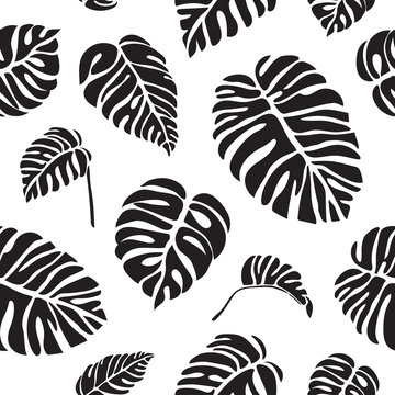 Tropical leaves monstera black and white seamless pattern.