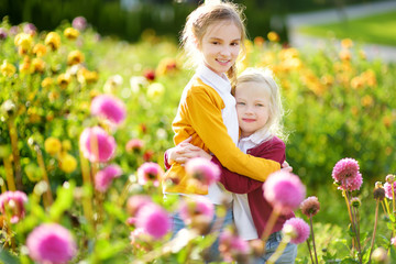 Two cute sisters playing in blossoming dahlia field. Children picking fresh flowers in dahlia meadow on sunny summer day.