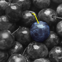 background texture plum blue color on black and white monochrome fruit fruit sweet matte beautiful juicy