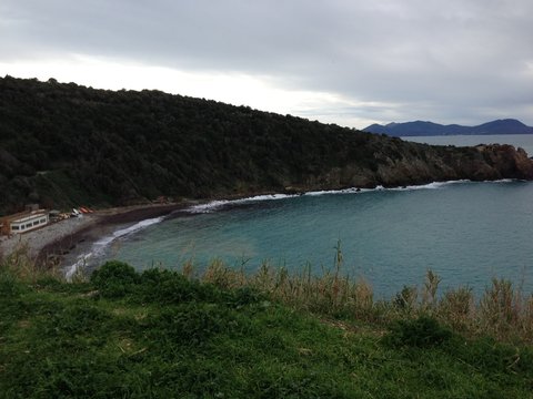 Calamoresca