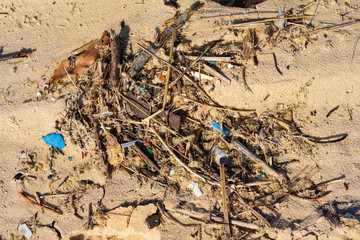 Pollution on the coast