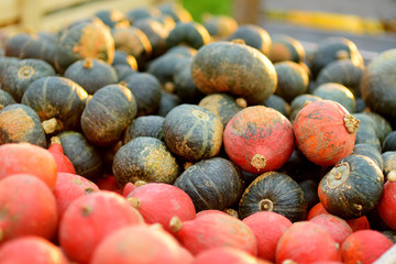 Decorative orange pumpkins on display at the farmers market in Germany. Orange ornamental pumpkins in sunlight