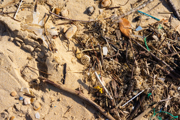 Pollution on the coast