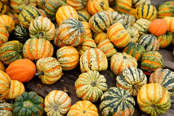 Decorative orange pumpkins on display at the farmers market in Germany. Orange ornamental pumpkins in sunlight
