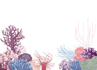 Vector background with colorful coral reef © Marina Gorskaya