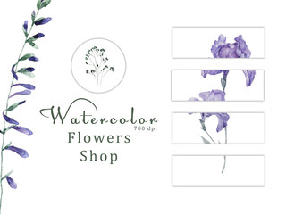 Watercolor floral on white background 700 dpi Similar illustration leaf green color design flowers shop gift card