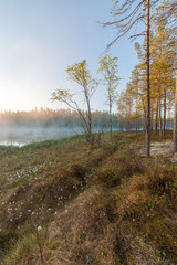 Fototapeta premium Small foggy forest lake at sunrise summer morning