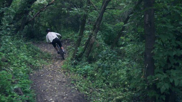 extreme bicyclist rides on forest path, slow motion