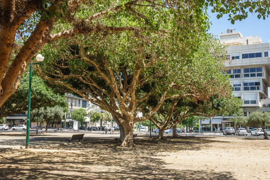 View of Kikar Square, Tel Aviv, Israel
