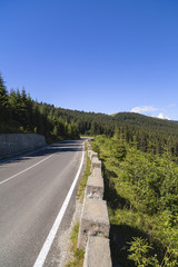 Fototapeta na wymiar Asphalt road going into the mountains through pine forests
