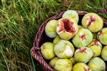Fresh green figs with green leaves in a wicker basket