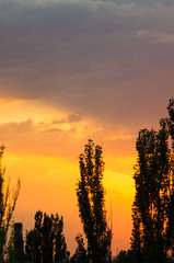 Landscape with dramatic light - beautiful golden sunset with saturated sky and clouds.