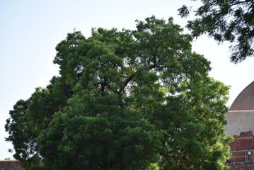 Qutub Minar