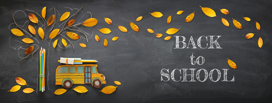 Back to school concept. Top view banner of school bus and pencils next to tree sketch with autumn dry leaves over classroom blackboard background.