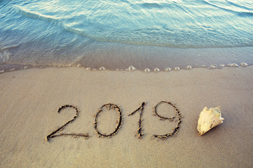 New Year 2019 is coming concept and sea shell.