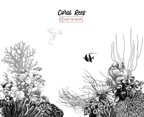 Hand drawn coral reef with tropical fishes