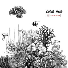 Hand drawn coral reef with tropical fishes