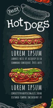 Hotdog with tomato, mustard, leave lettuce. Vector color engraving