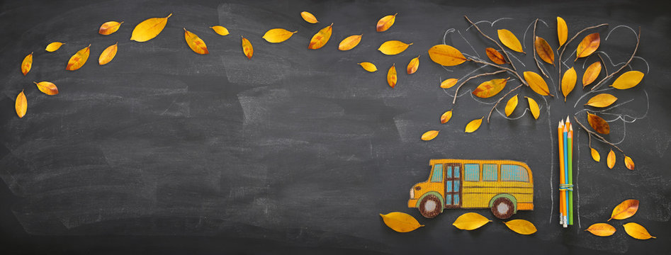 Back to school concept. Top view banner school bus and pencils next to tree sketch with autumn dry leaves over classroom blackboard background.