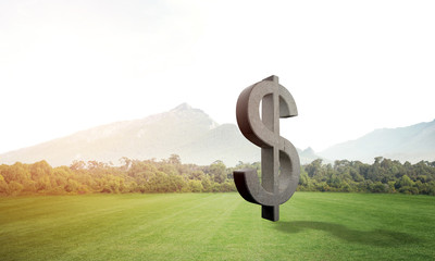 Money making and wealth concept presented by stone dollar symbol on green grass