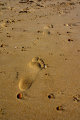 Foot prints in the sand