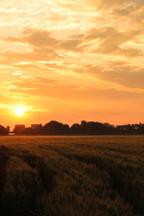 Countryside dawn