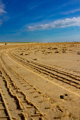 Wheel prints in the sand