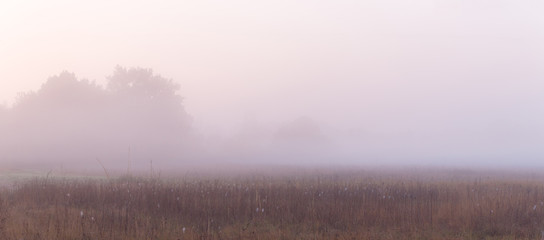 Wide panorama of beautiful foggy meadow. Dense fog over dry grass meadow and trees silhouettes at early autumn morning.