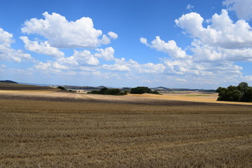 Stoppelfelder auf sanften Hügeln der Eifel, Thür