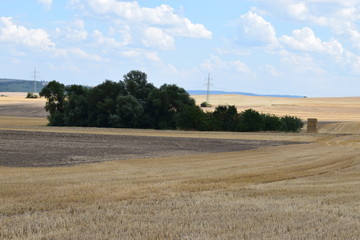 Stoppelfelder auf sanften Hügeln der Eifel, Thür