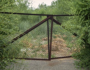 Old rusty metal gate and green trees. Green thickets