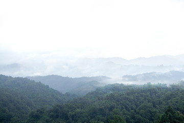 Landscape mountain view,Fog and Clouds are rolling through after the rain in the Mountains National Park in North of thailand. Natural rain forest, Fog step between mountain.