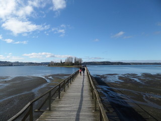 Fototapeta premium Isla Aucar, Chiloe