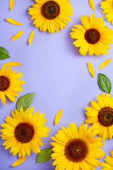 Sunflower pattern background on a purple background viewed from above. Top view.  © virtustudio