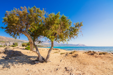 Fototapeta na wymiar Famous sandy beach of Falasarna at the north west of Chania, Crete, Greece.