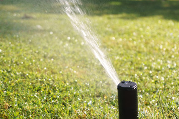 Automated watering system in the Park