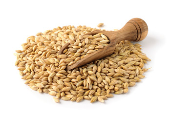 Dry barley seeds and wooden scoop