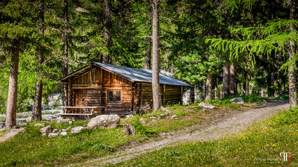 Cabane en bois au milieu des bois dans le Val d'Escreins, Hautes Alpes, France - Wooden hut in the middle of the woods in Val d'Escreins, High Alps