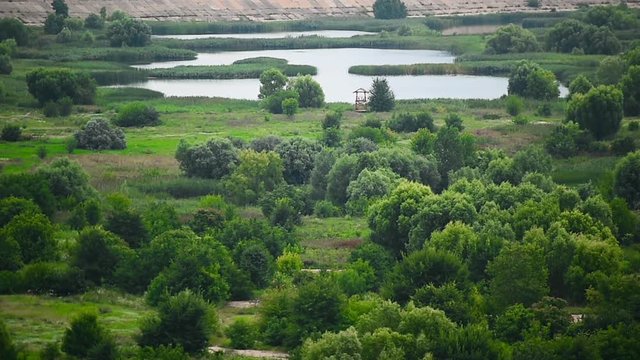 Aerial view of the Vacaresti Nature Park in Bucharest