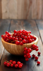 Ripe red currant berries