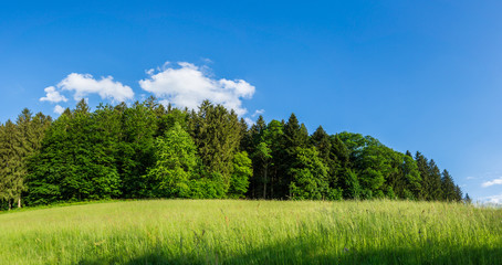 Germany, XXL landscape panorama of black forest nature © Simon Dux Media