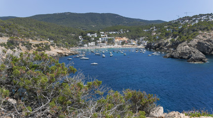Fototapeta na wymiar Panoramic view of Cala Vadella in Ibiza 