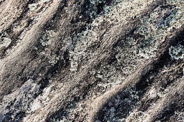 Lichen growing on weathered granite creates an interesting pattern.