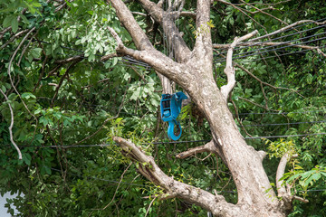 Crane lifting Broken tree