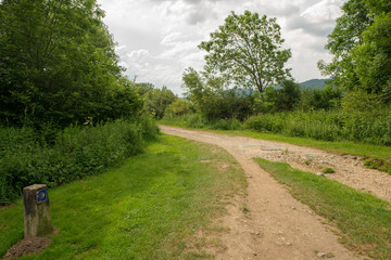 The road to Santiago as it passes through Burguete