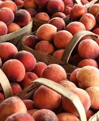 Fresh peaches in wooden baskets.