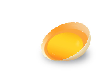 Broken Egg illustration.