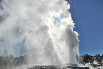 Fototapeta na wymiar New Zealand. Eruption of the geyser in Rotarua