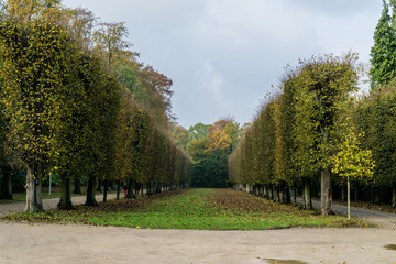 Path in park