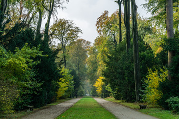 Path in park